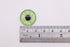 Glass Cabochon Iris Puppet Eyes - LEAFY - FurriFingers
